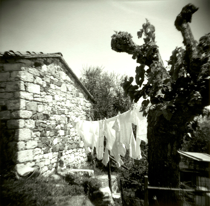 Laundry-with-Tree---Version-2