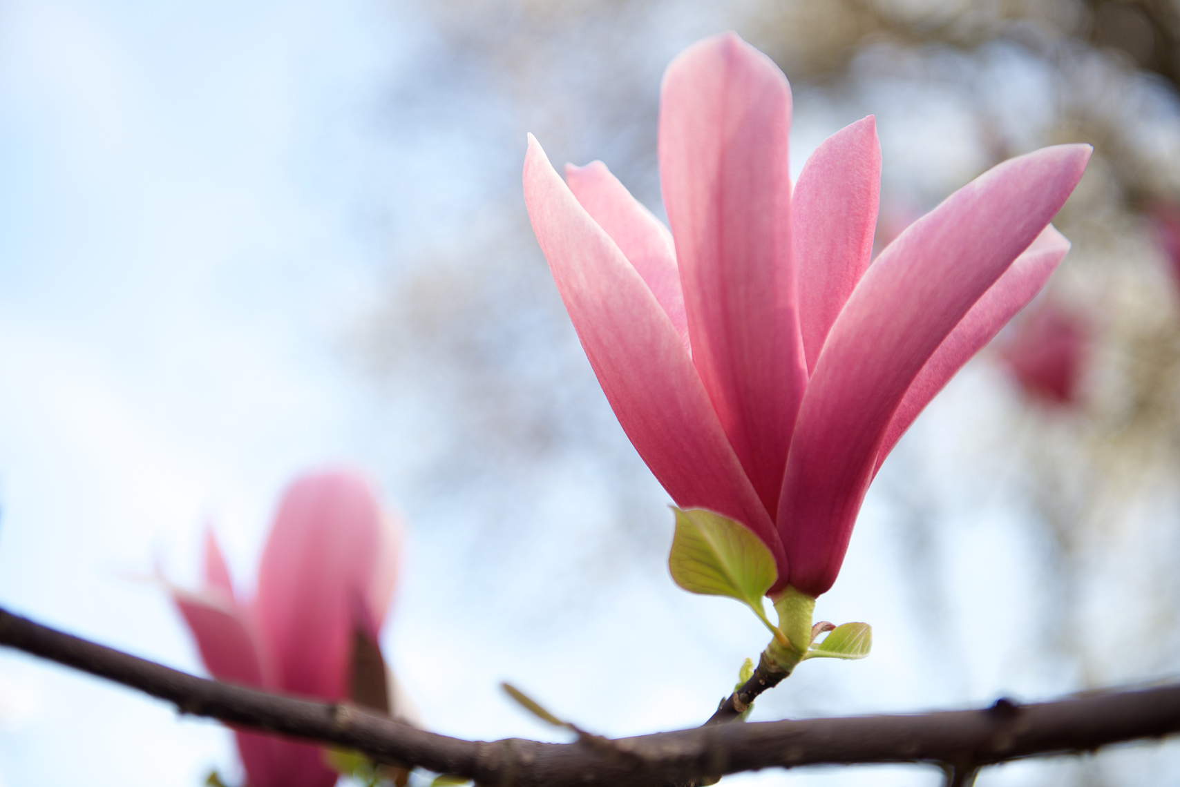 _DSC2247---Version-2_ForPF